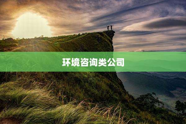 环境咨询类公司