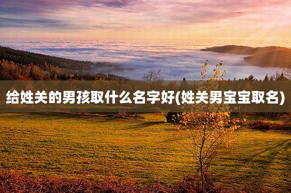 给姓关的男孩取什么名字好(姓关男宝宝取名)