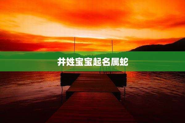 井姓宝宝起名属蛇