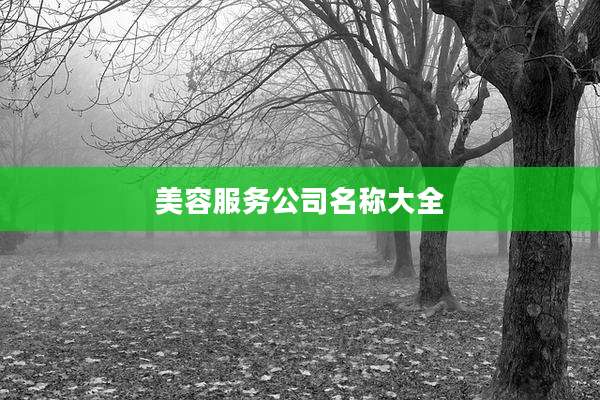 美容服务公司名称大全