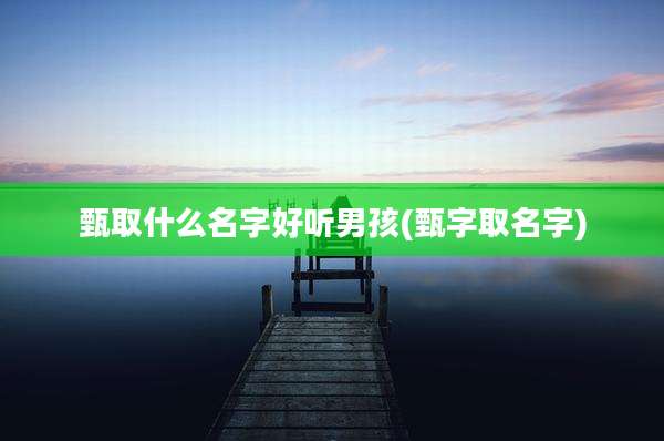 甄取什么名字好听男孩(甄字取名字)