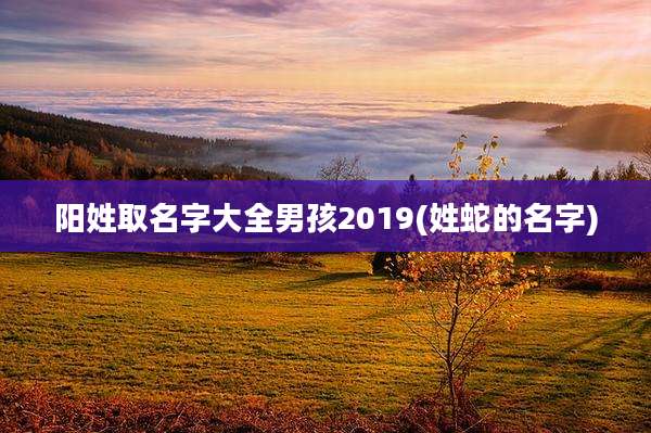 阳姓取名字大全男孩2019(姓蛇的名字)