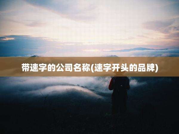 带速字的公司名称(速字开头的品牌)
