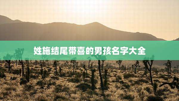 姓施结尾带喜的男孩名字大全