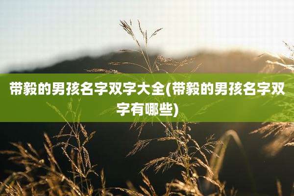 带毅的男孩名字双字大全(带毅的男孩名字双字有哪些)