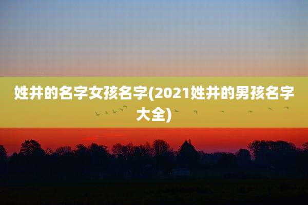 姓井的名字女孩名字(2021姓井的男孩名字大全)