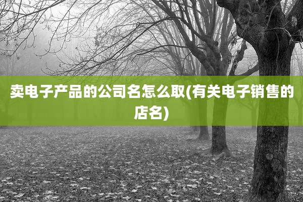 卖电子产品的公司名怎么取(有关电子销售的店名)