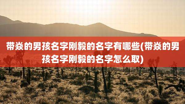 带焱的男孩名字刚毅的名字有哪些(带焱的男孩名字刚毅的名字怎么取)