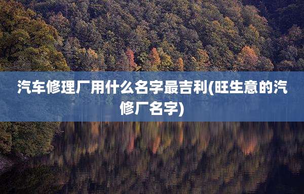 汽车修理厂用什么名字最吉利(旺生意的汽修厂名字)
