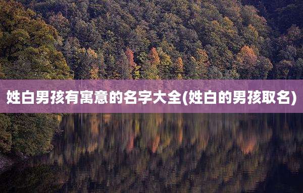 姓白男孩有寓意的名字大全(姓白的男孩取名)