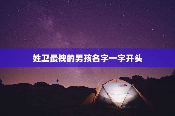 姓卫最拽的男孩名字一字开头