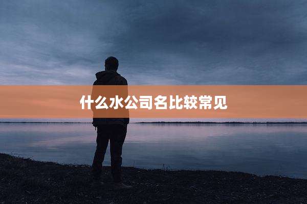 什么水公司名比较常见