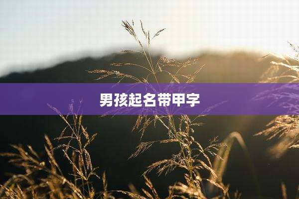 男孩起名带甲字