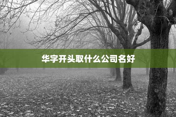 华字开头取什么公司名好