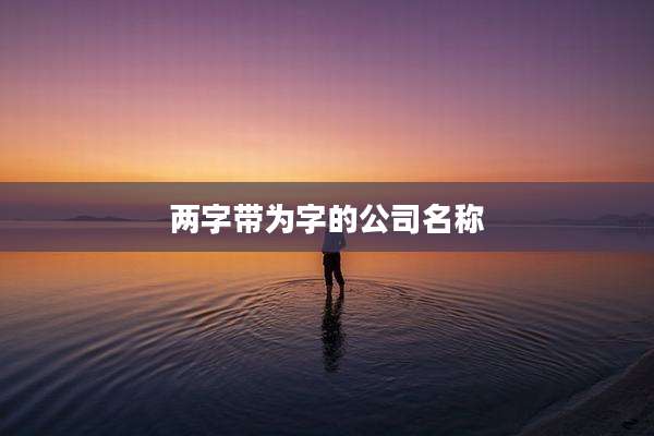 两字带为字的公司名称