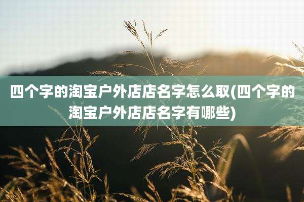 四个字的淘宝户外店店名字怎么取(四个字的淘宝户外店店名字有哪些)