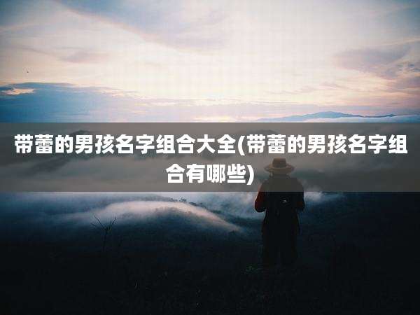 带蕾的男孩名字组合大全(带蕾的男孩名字组合有哪些)