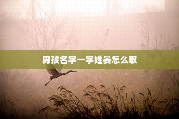 男孩名字一字姓晏怎么取