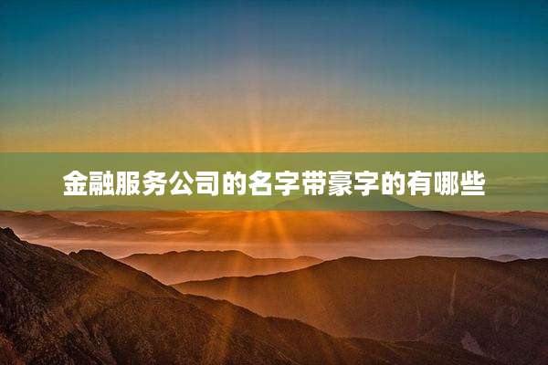 金融服务公司的名字带豪字的有哪些