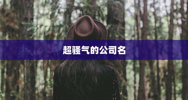 超骚气的公司名
