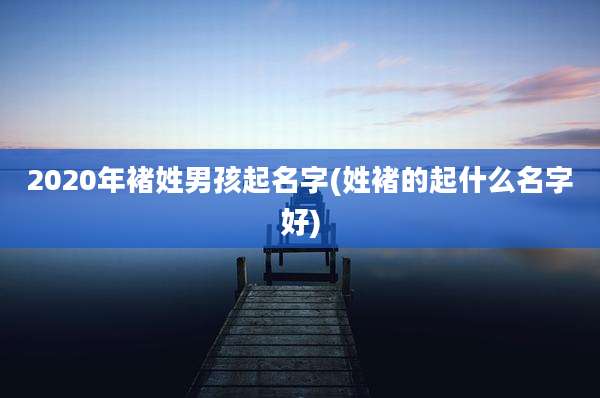 2020年褚姓男孩起名字(姓褚的起什么名字好)