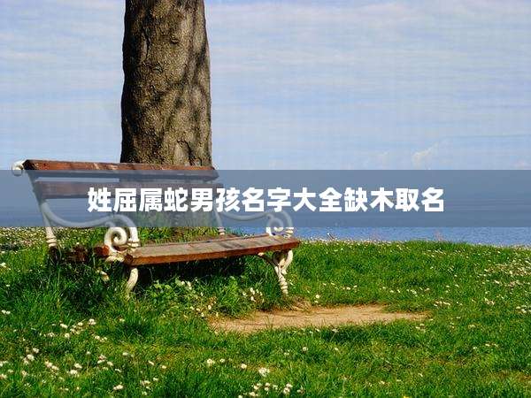 姓屈属蛇男孩名字大全缺木取名