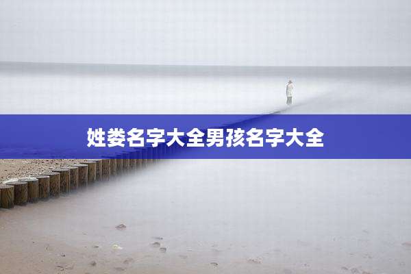 姓娄名字大全男孩名字大全