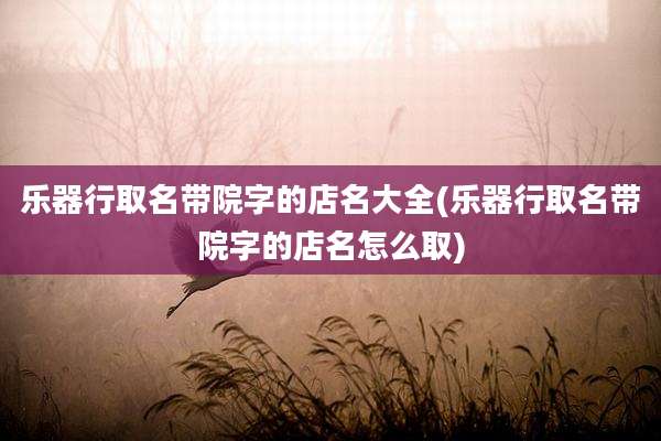 乐器行取名带院字的店名大全(乐器行取名带院字的店名怎么取)