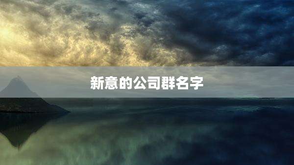 新意的公司群名字
