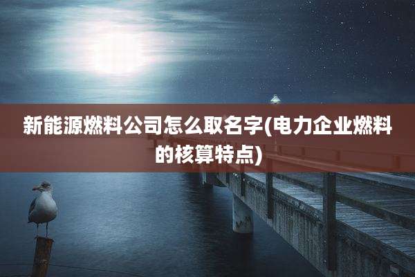 新能源燃料公司怎么取名字(电力企业燃料的核算特点)