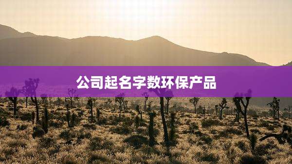 公司起名字数环保产品