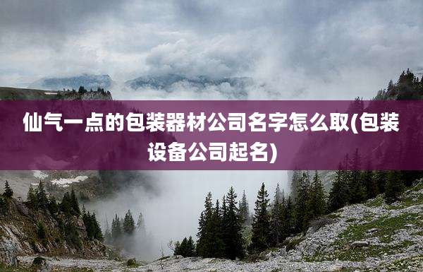 仙气一点的包装器材公司名字怎么取(包装设备公司起名)