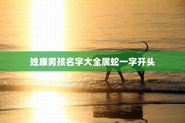 姓康男孩名字大全属蛇一字开头