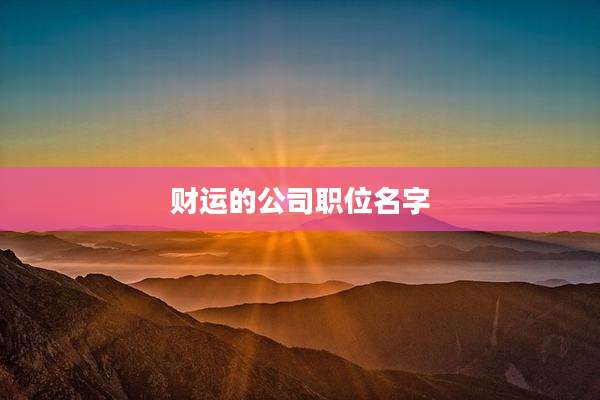 财运的公司职位名字