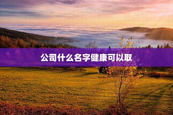公司什么名字健康可以取