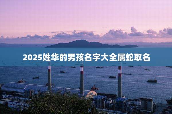 2025姓华的男孩名字大全属蛇取名