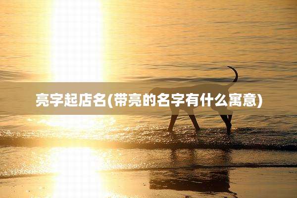 亮字起店名(带亮的名字有什么寓意)