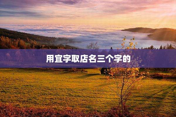 用宜字取店名三个字的
