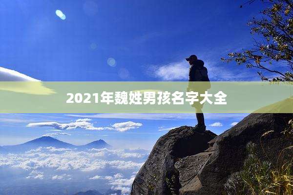 2021年魏姓男孩名字大全