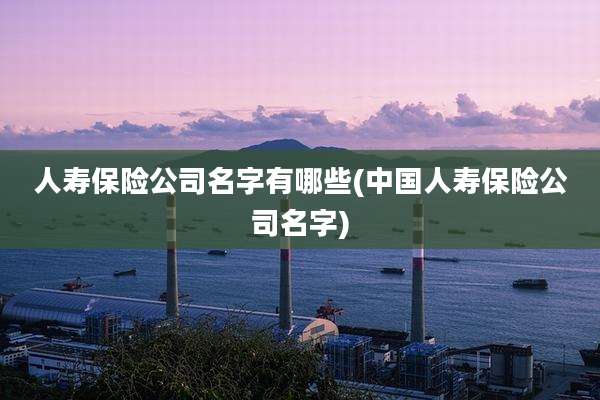 人寿保险公司名字有哪些(中国人寿保险公司名字)