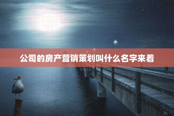 公司的房产营销策划叫什么名字来着