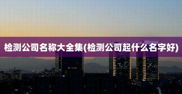 检测公司名称大全集(检测公司起什么名字好)