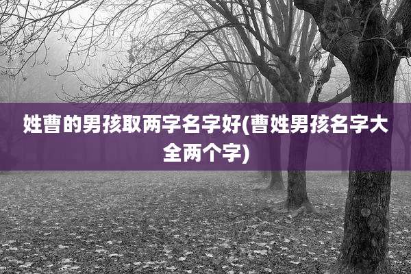 姓曹的男孩取两字名字好(曹姓男孩名字大全两个字)