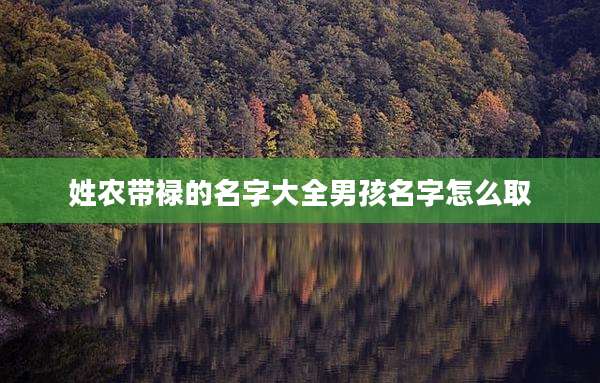姓农带禄的名字大全男孩名字怎么取