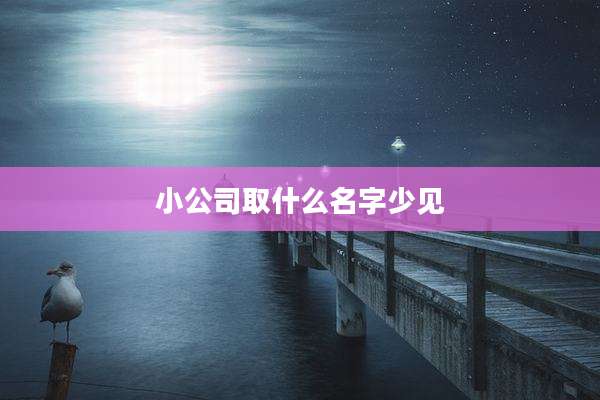 小公司取什么名字少见