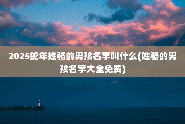 2025蛇年姓骆的男孩名字叫什么(姓骆的男孩名字大全免费)