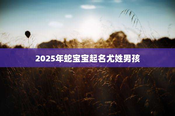 2025年蛇宝宝起名尤姓男孩