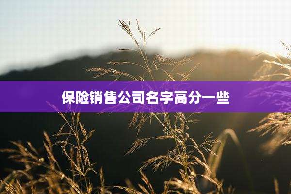 保险销售公司名字高分一些