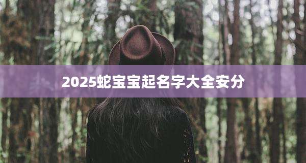 2025蛇宝宝起名字大全安分