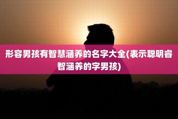 形容男孩有智慧涵养的名字大全(表示聪明睿智涵养的字男孩)